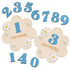 Baby milestone cards with numbers and flowers on a white background