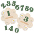Baby milestone cards with numbers and &